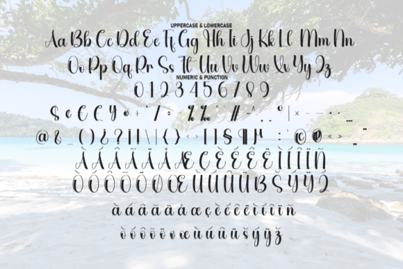 Beach Southine Font - Preview 6