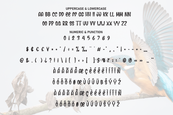 Blue Bird Font PNG with transparent background - Preview 6
