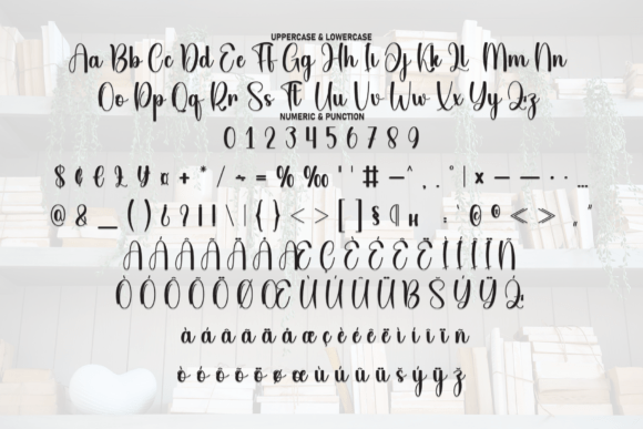 Book Farmhouse Font - Preview 6