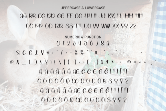 Bunny House Font - Preview 6