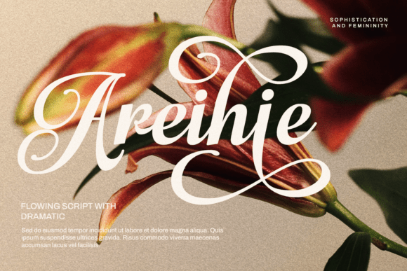Maybella Font PNG with transparent background - Preview 1