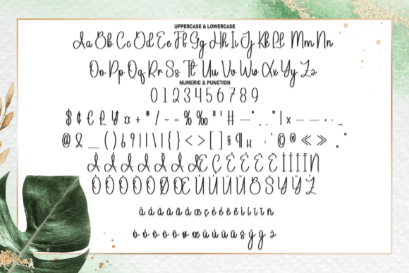 Background Signature Font - Preview 6