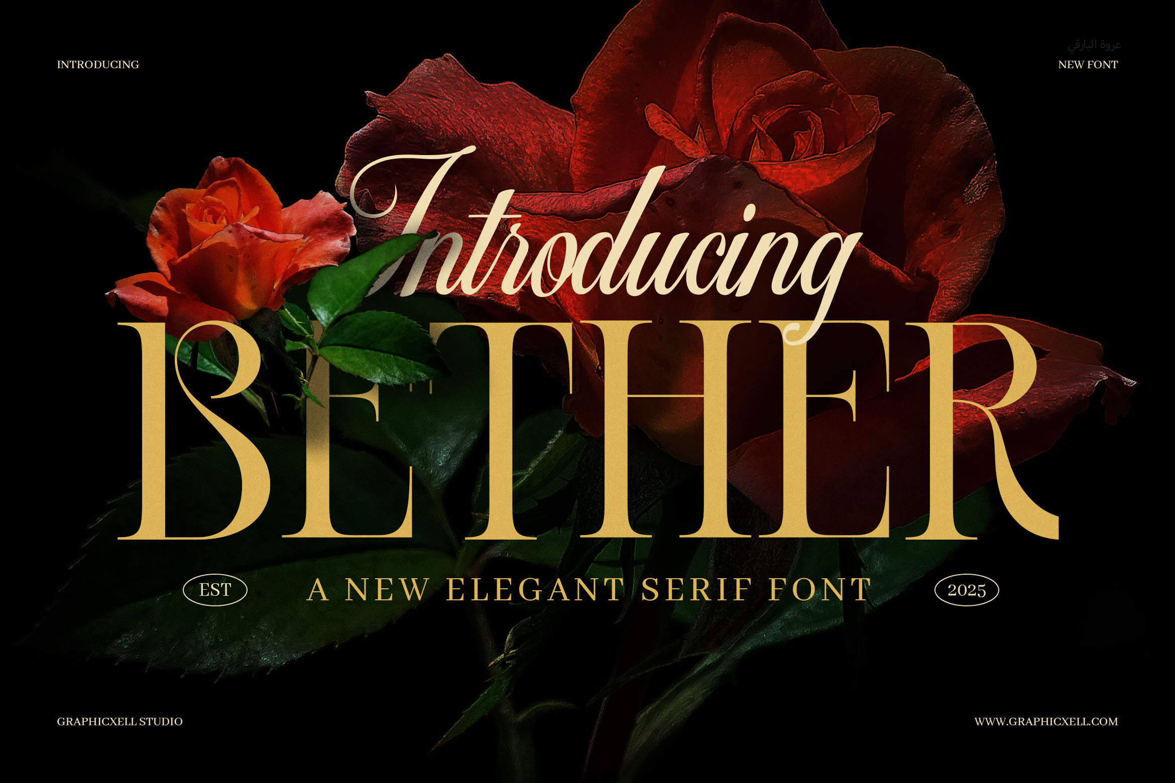 Bether Serif preview, placeholder image