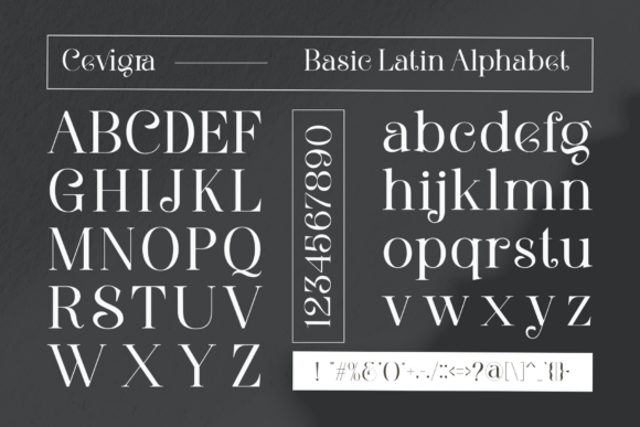 Cevigra Font - Preview 2