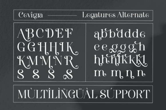 Cevigra Font - Preview 3