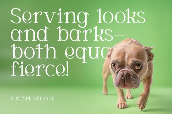Cortexo Font - Preview 5