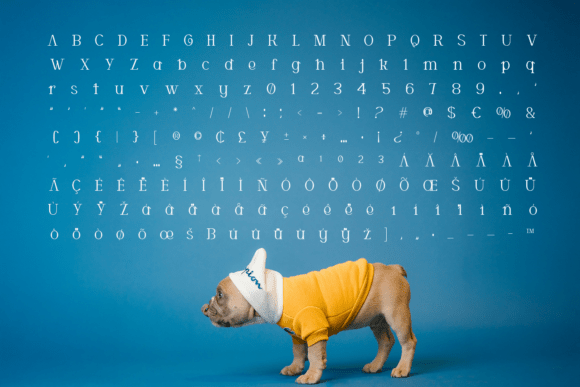 Cortexo Font - Preview 6