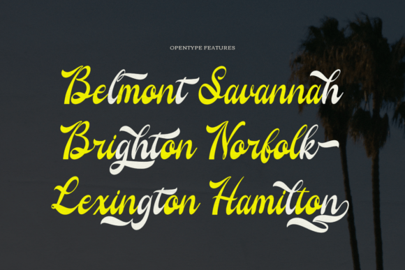 Regarding Wayback Font PNG with transparent background - Preview 5