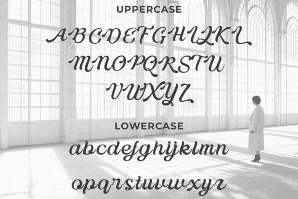 Delusoa Font - Preview 6