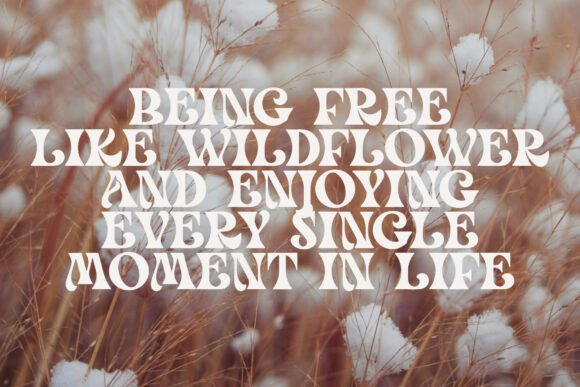 Mayo Age Font PNG with transparent background - Preview 5