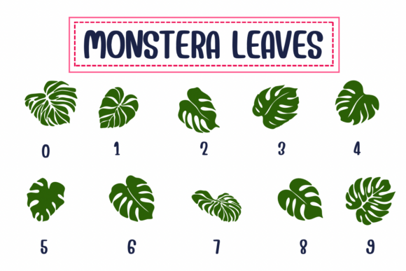 Monstera Leaves Font PNG with transparent background - Preview 3