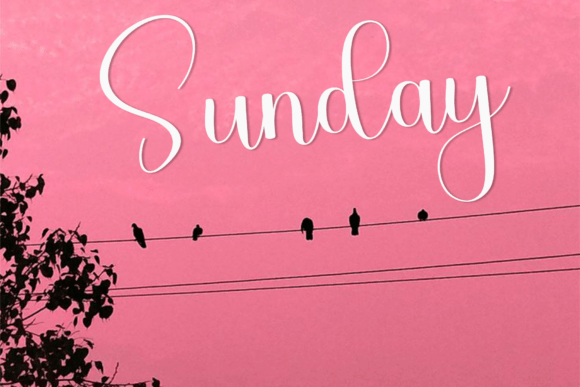 Butterfly Font - Preview 2