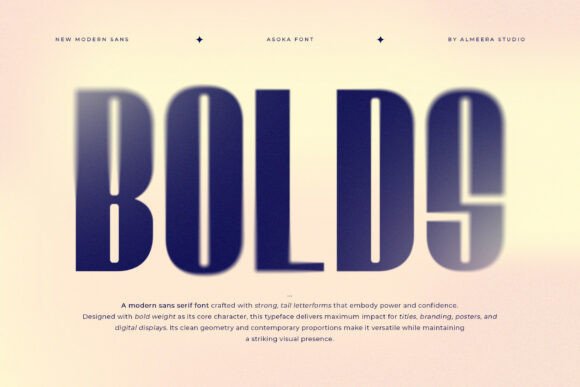 Asoka Font - Preview 3