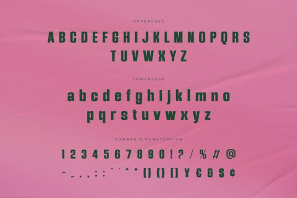 Butzer Font - Preview 5