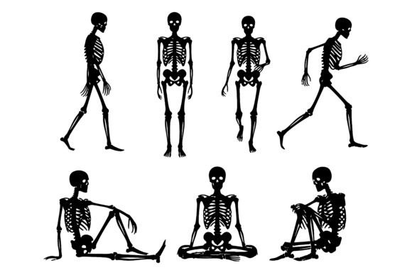 Collection of Human Skeleton Poses Silho