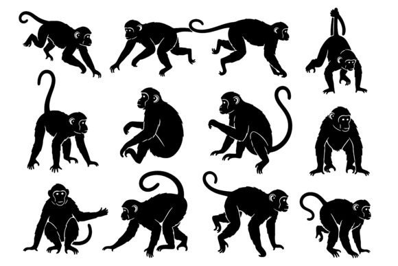 Collection of Monkey Silhouettes in Vari Graphic Icons By Creative king