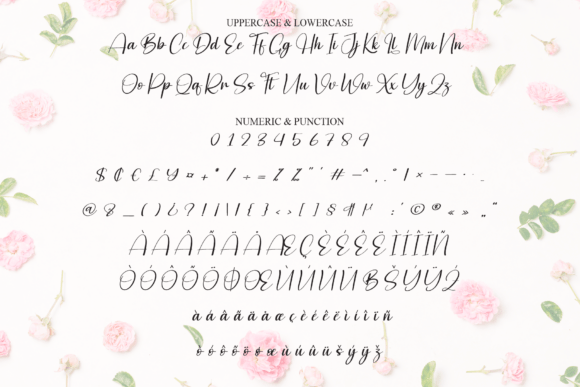 Delighter Font - Preview 6