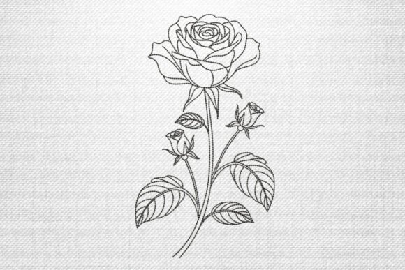 Elegant Rose Outline