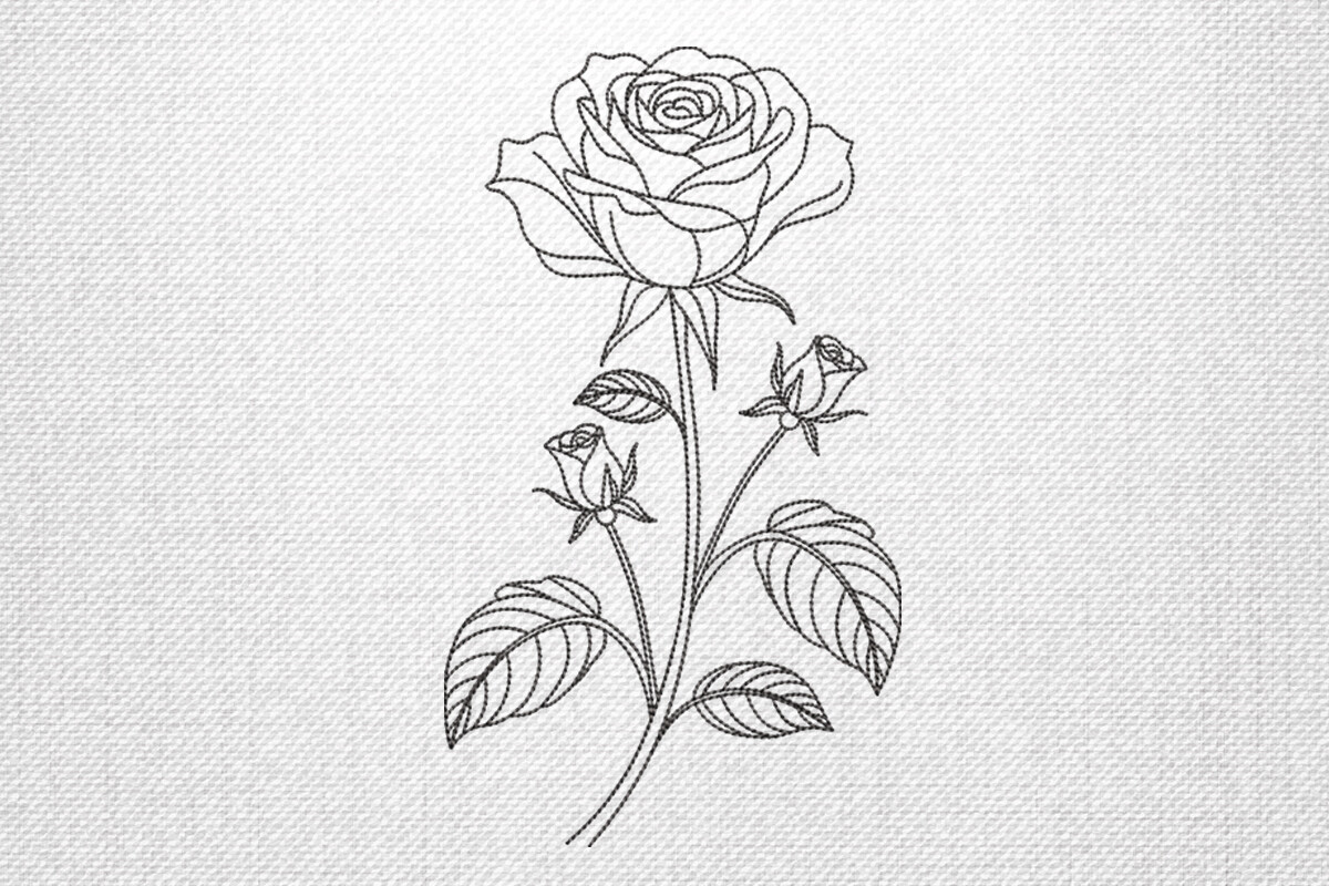 Elegant Rose Outline