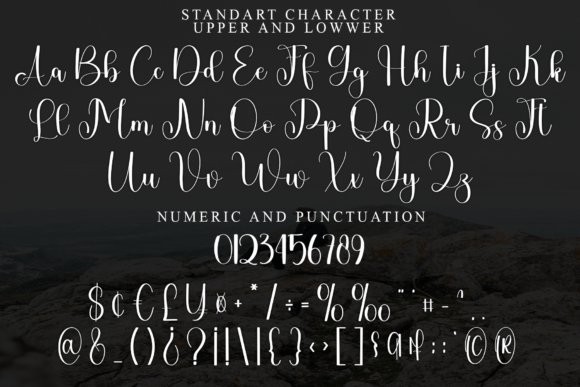 Ballerina Signature Font - Preview 4