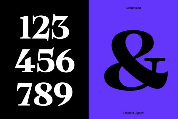 Bold Dignify Font - Preview 4
