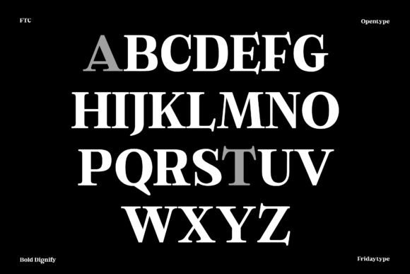 Bold Dignify Font - Preview 5