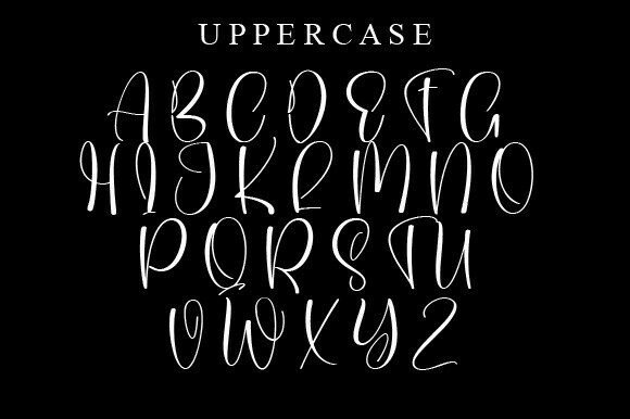Day Live Font - Preview 2