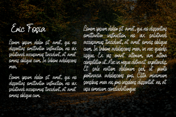 Eric Fosia Font - Preview 2