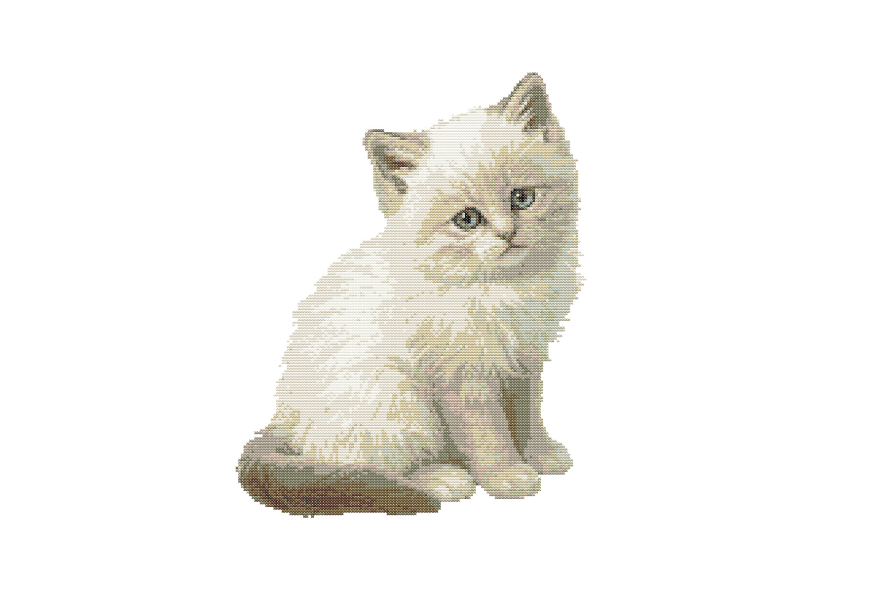 Fluffy Ivory Kitten with Sapphire Eyes