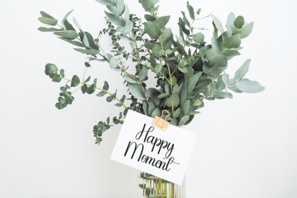 Naturaly Font PNG with transparent background - Preview 2