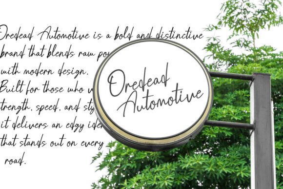 Brondia Derepina Font - Preview 4