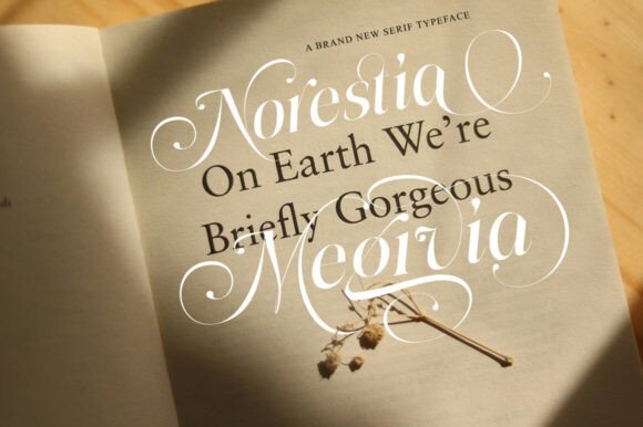 Megivia Font PNG with transparent background - Preview 1