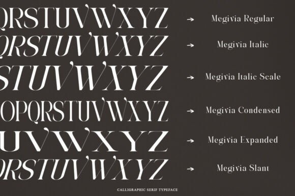 Megivia Font font preview - 6