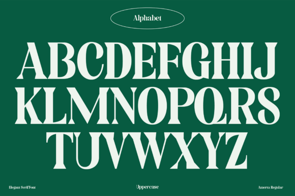 Amerta Font - Preview 2