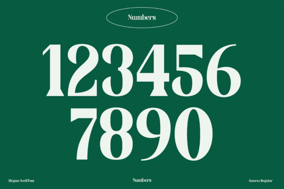Amerta Font - Preview 4