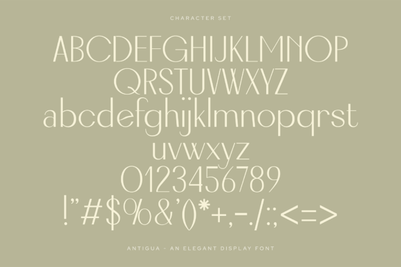 Antigua Font - Preview 2