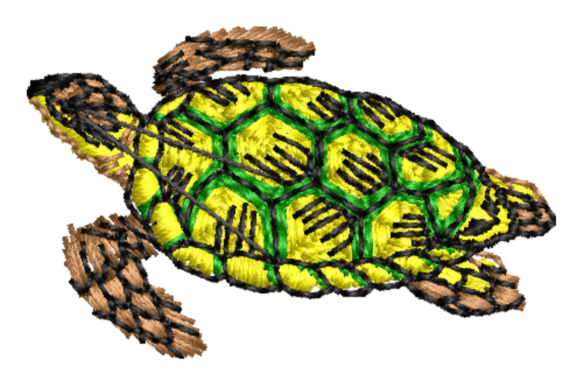 Sea Turtle