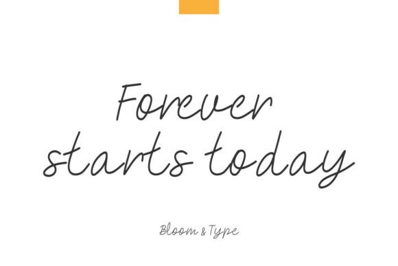 Bitlotus Font - Preview 3
