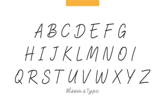Bitlotus Font - Preview 4