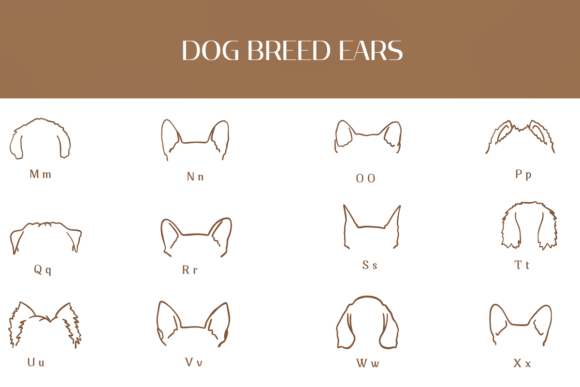 Dog Breed Ears Font - Preview 2