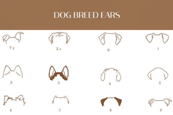 Dog Breed Ears Font - Preview 3