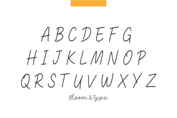 Bhavanaflow Font - Preview 4