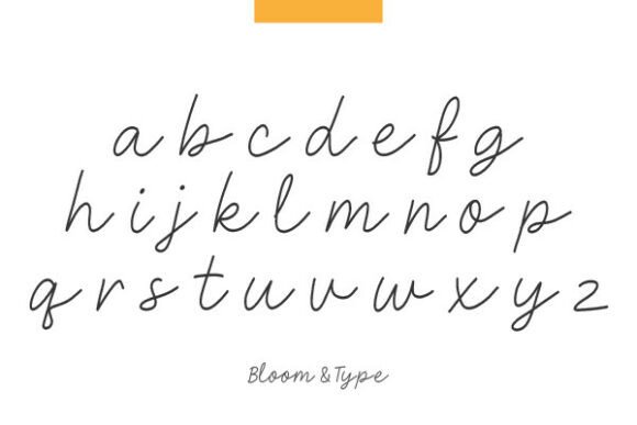 Bhavanaflow Font - Preview 5
