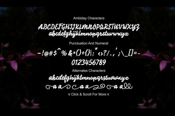 Ambiday Font - Preview 4