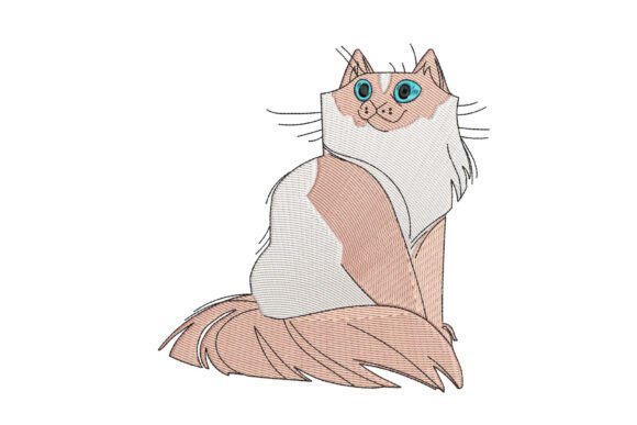 Ragdoll Cat