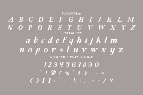 Evoke Italic Font - Preview 4