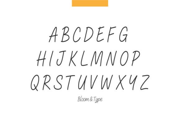 Brahmita Font PNG with transparent background - Preview 4