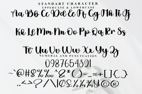 Delighter Font - Preview 4