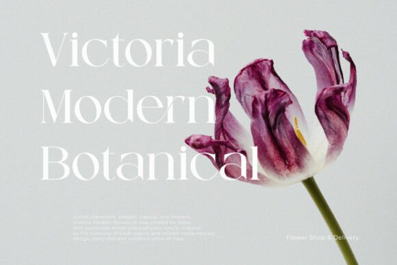 Chetta Vissto Font - Preview 2