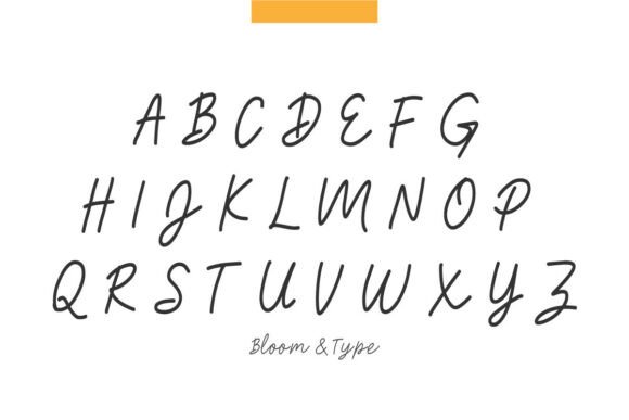 Bhaddaka Font - Preview 4